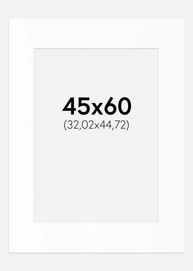Pasparta Bílý Standard (Bílé Jádro) 45x60 cm (32,02x44,72)