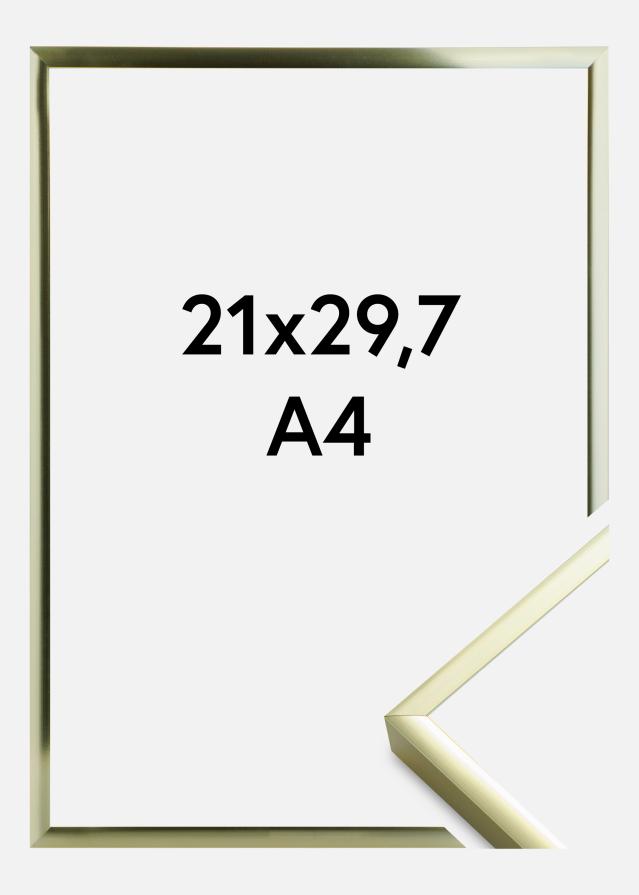 Rám Plakát Frame Aluminum Gold 21x29,7 cm (A4)