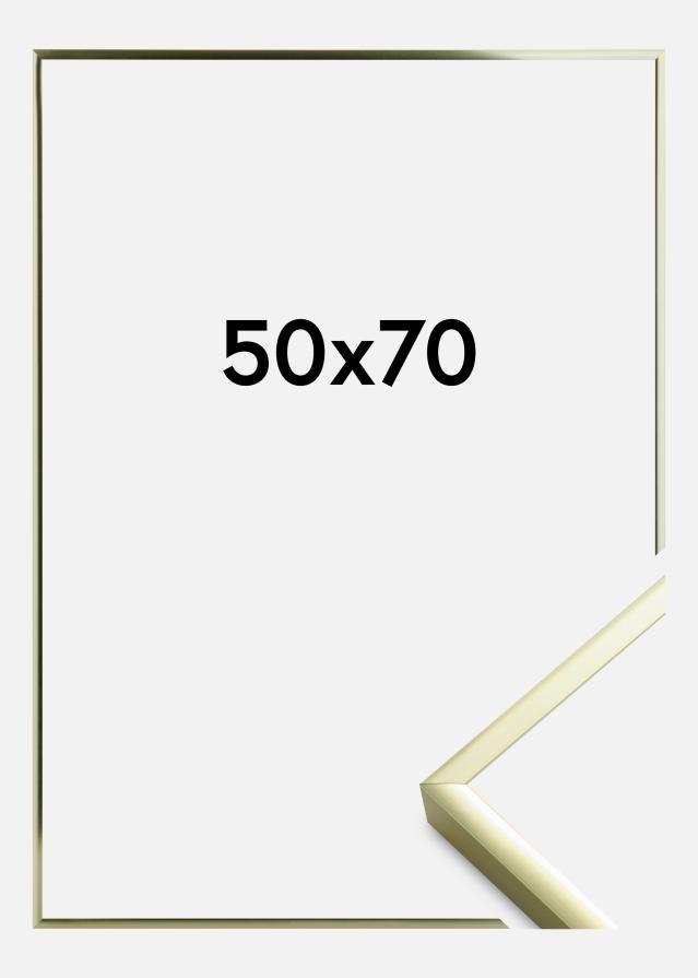 Rám Plakát Frame Aluminum Gold 50x70 cm