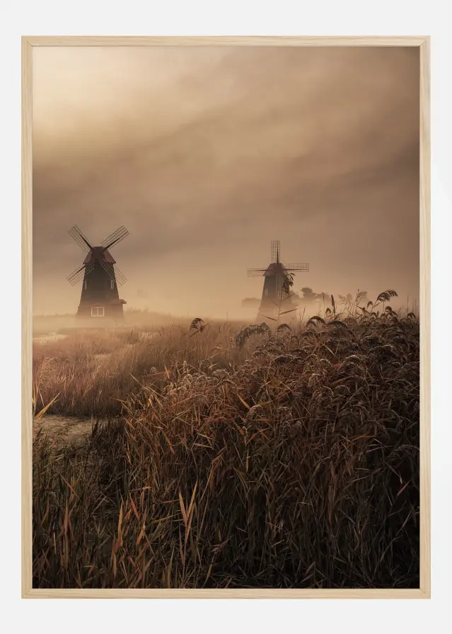 A Fascinating Morning Plakát