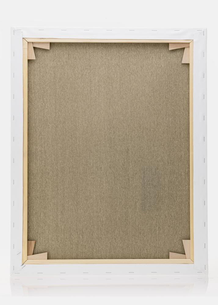 Malírské plátno Premium Bílá 40x50 cm