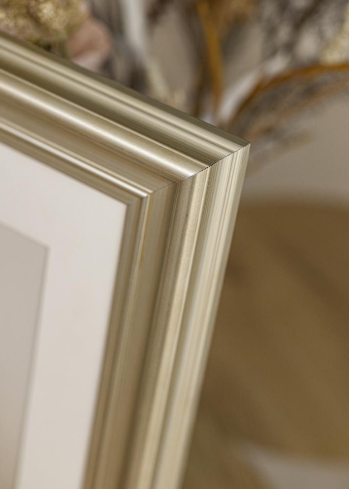 Rám Mora Premium Stríbrná 35x100 cm