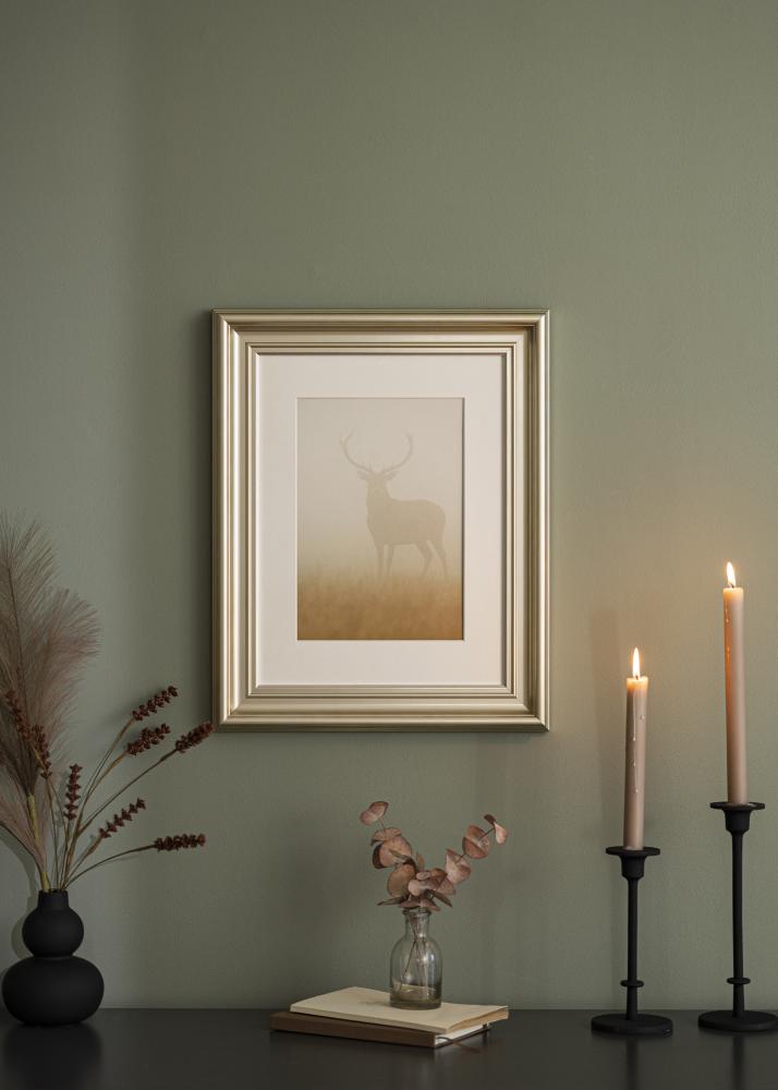 Rám Mora Premium Stríbrná 35x100 cm