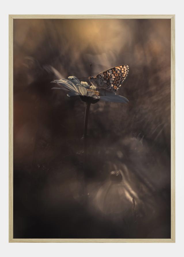 Pyrotechnics Plakát