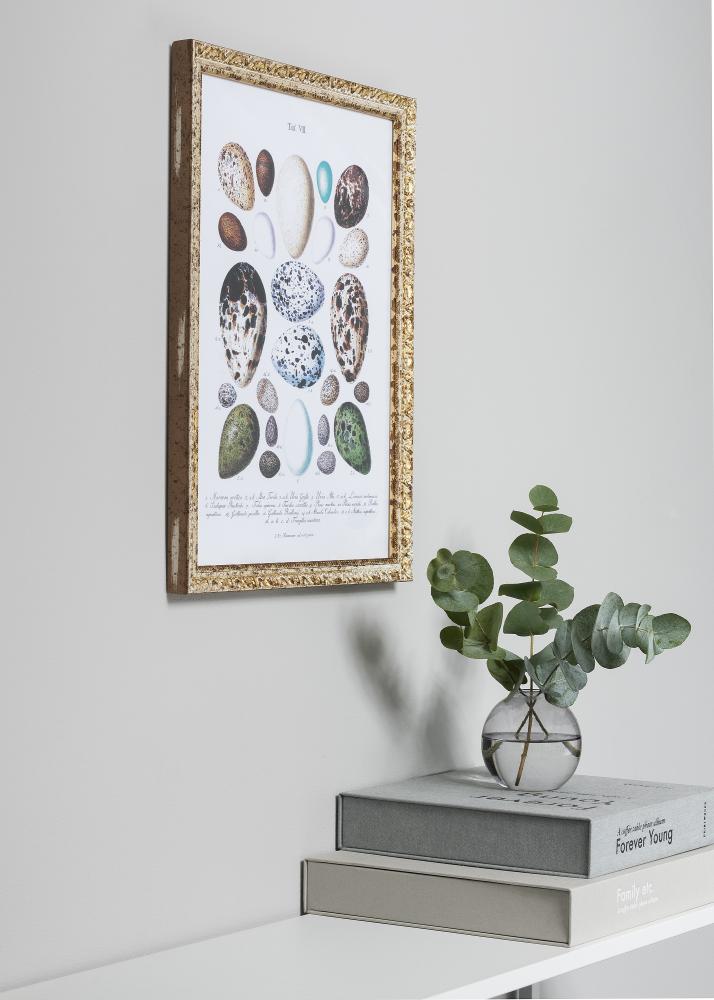 Rám Smith Zlatá/stríbrná 40x50 cm