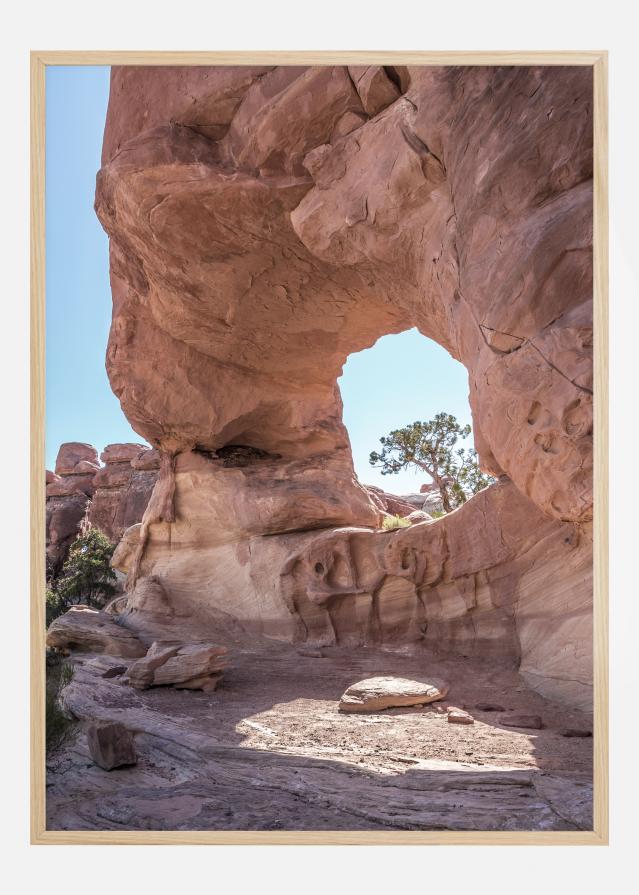 In The Desert Plakát