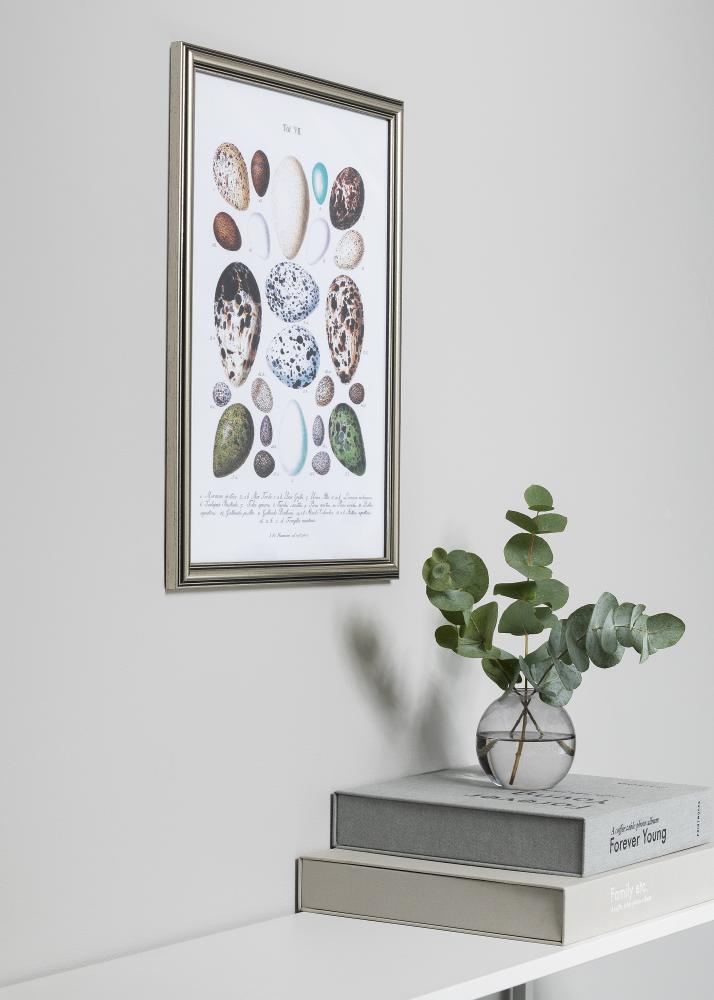 Rám Tango Stríbrná 18x24 cm