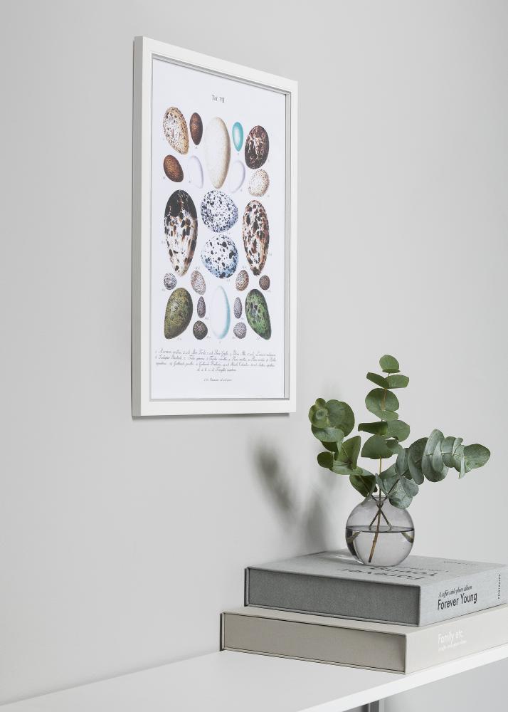 Rám Twist Bílá 10x15 cm