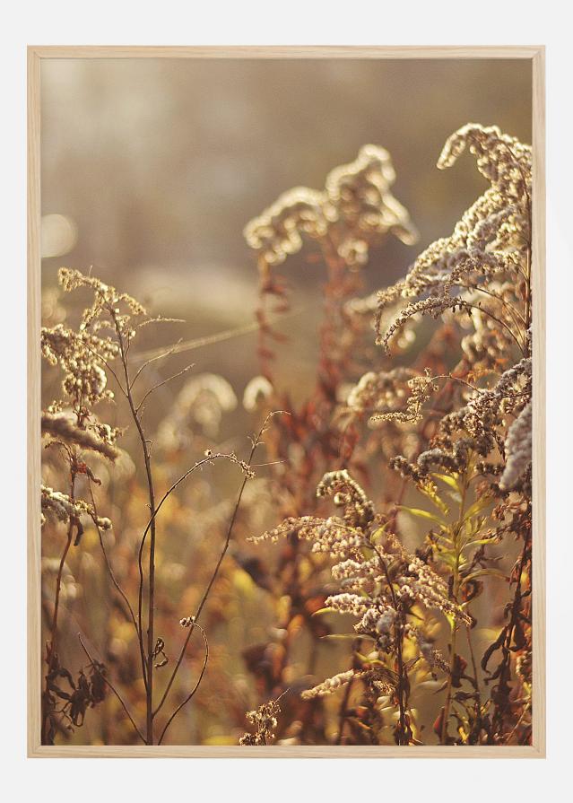 Summer Evening Plakát