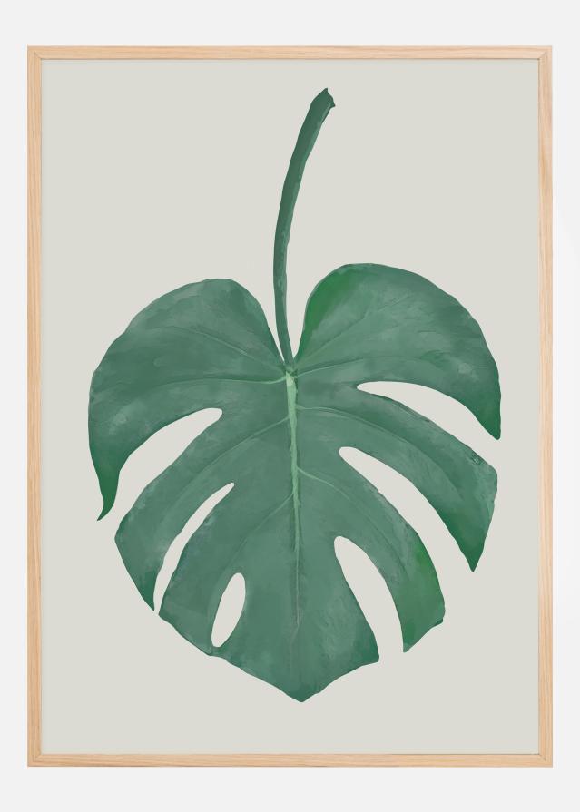 Monstera Aqua Plakát