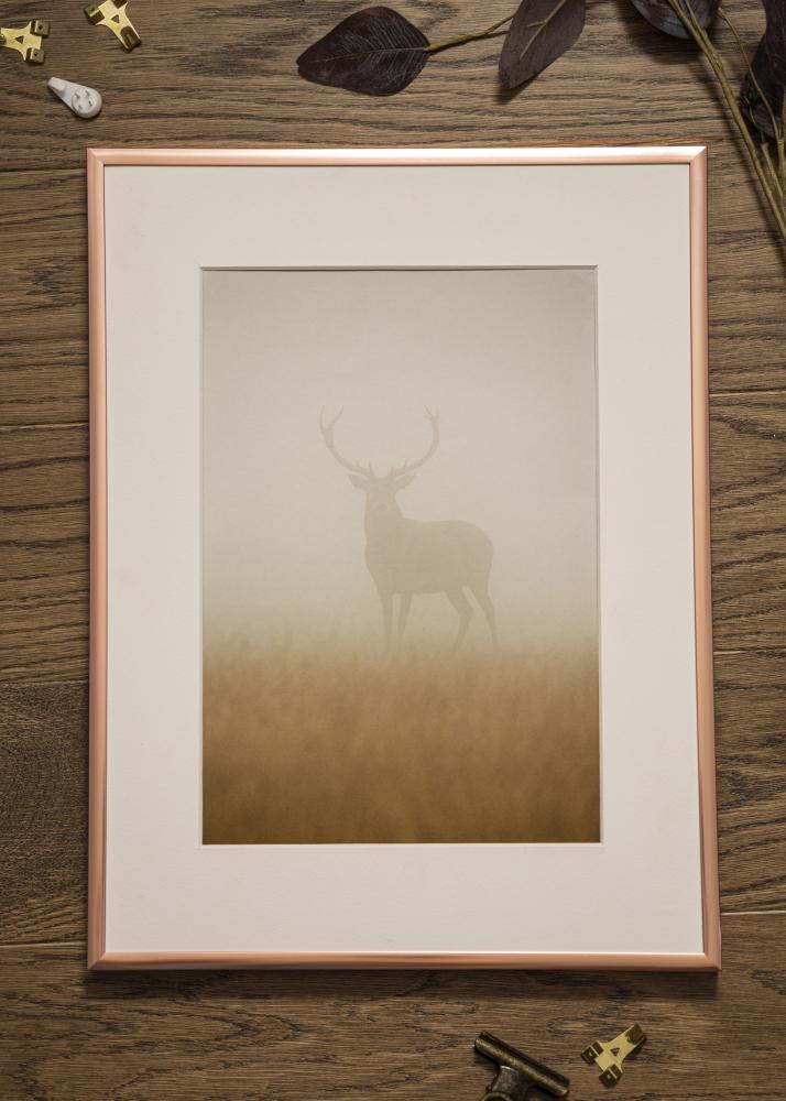 Rám Plakát Frame Aluminum Ružové zlato 40x50 cm