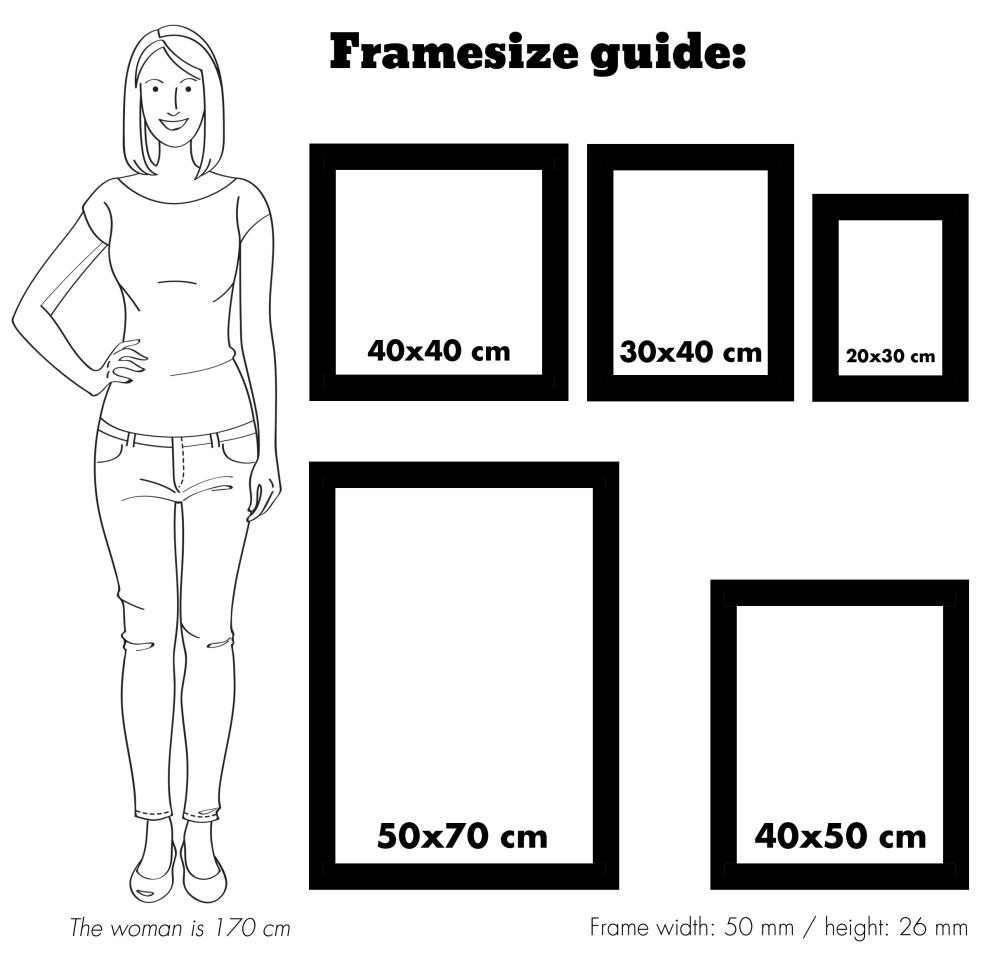 Rám Rokoko Stríbrná 40x50 cm