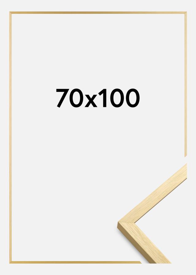 Rám Chair Zlatá 70x100 cm