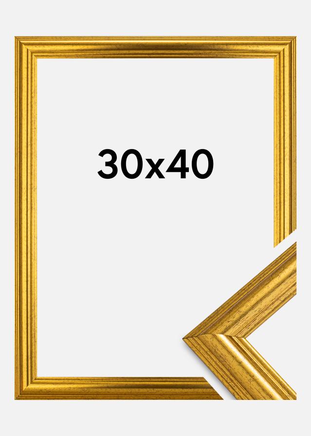 Rám Västkusten Zlatá 30x40 cm