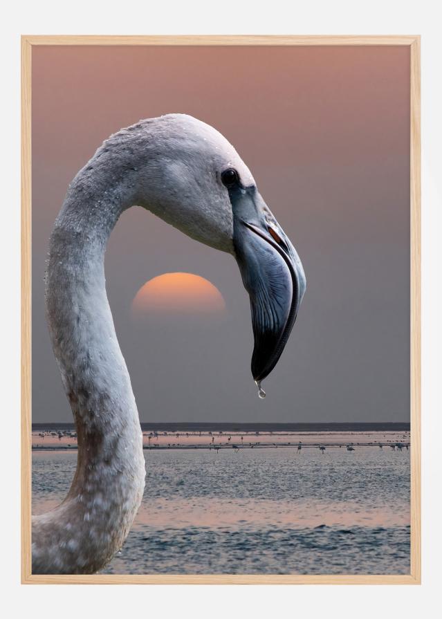 This is my world Plakát