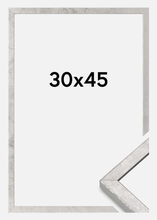 Rám Ares Akrylové sklo Stríbrná 30x45 cm
