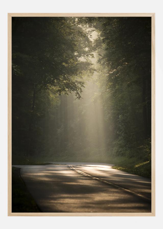 Sun Is Shining Plakát