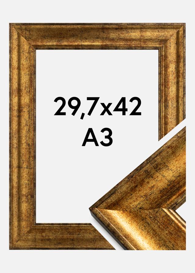 Rám Saltsjöbaden Akrylové sklo Zlatá 29,7x42 cm (A3)