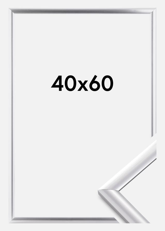 Rám Trendstyle Stríbrná 40x60 cm