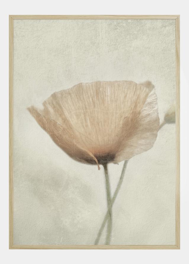 Jewel Of Nature Plakát