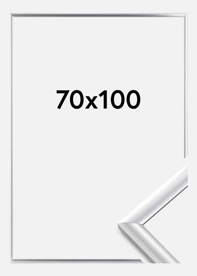 Rám Trendstyle Stríbrná 70x100 cm