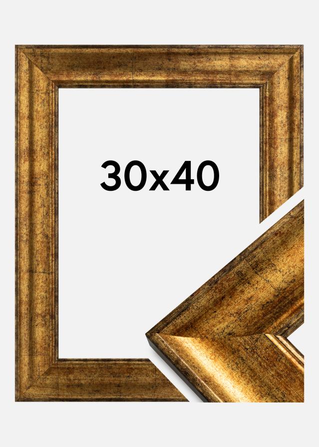 Rám Saltsjöbaden Zlatá 30x40 cm