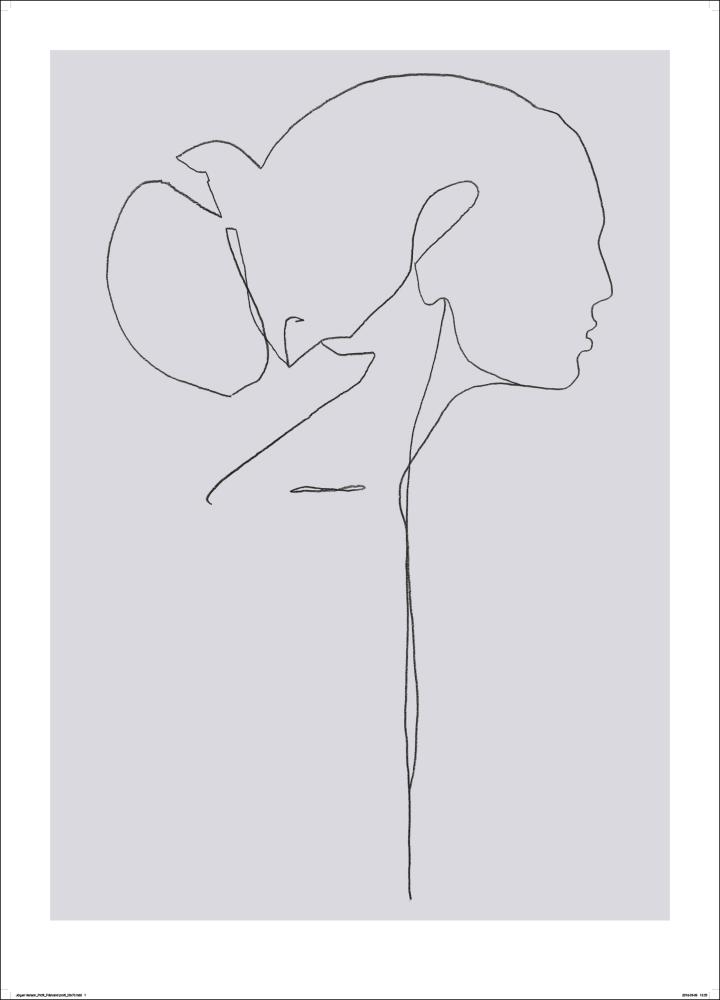 Female lines II Plakát