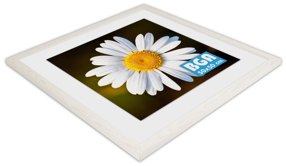 Rám Segenäs Bílá 70x70 cm