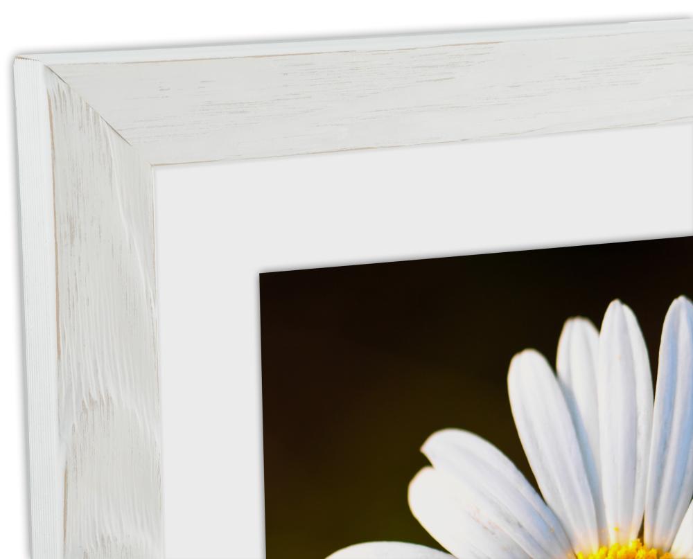 Rám Segenäs Bílá 70x70 cm