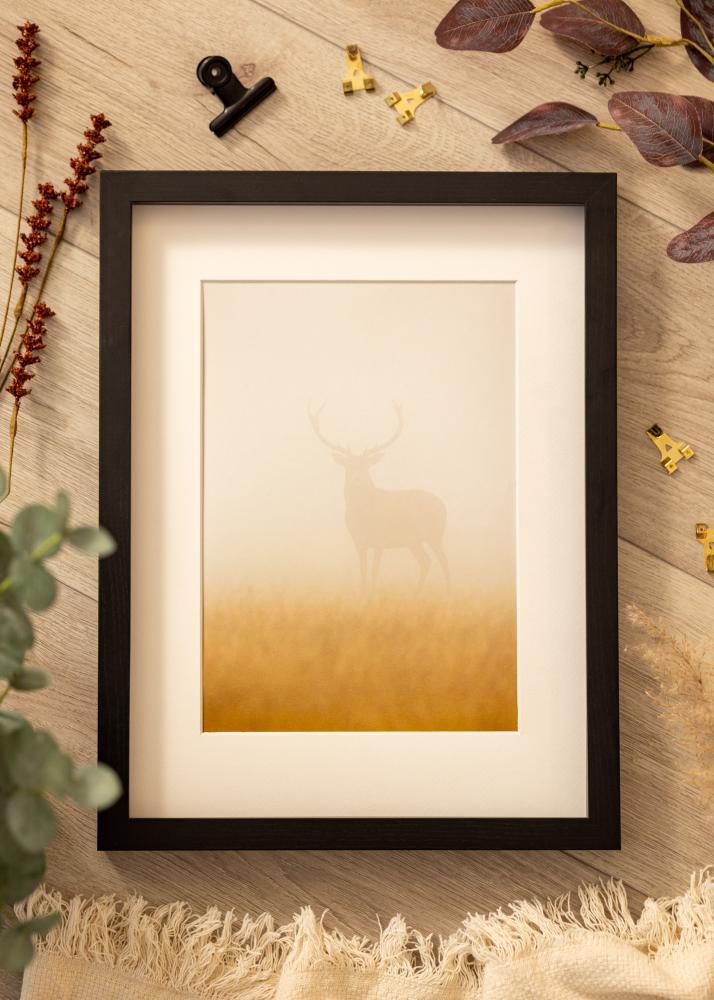 BGA Box rám Akrylové sklo Cerná 50x100 cm