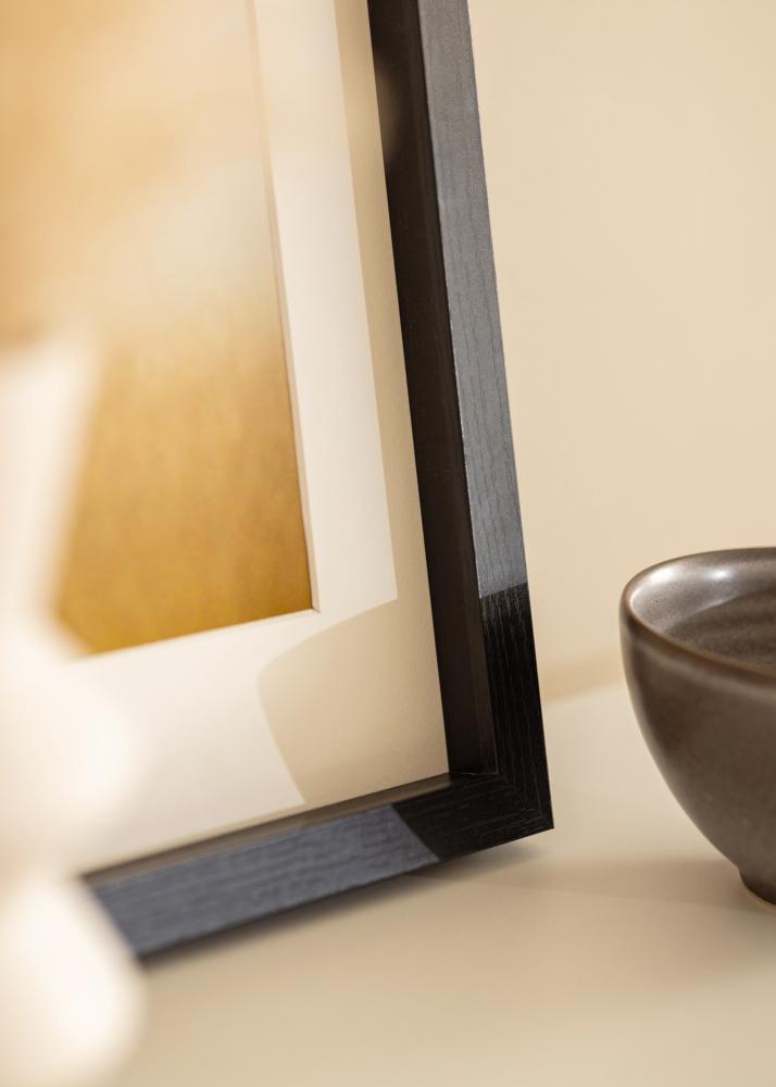 BGA Box rám Akrylové sklo Cerná 50x100 cm