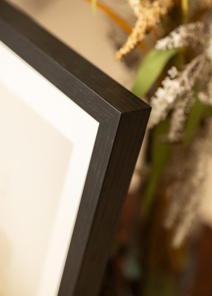 BGA Box rám Akrylové sklo Cerná 50x100 cm