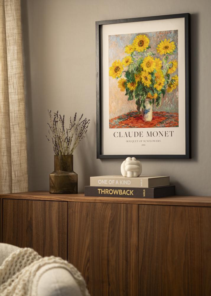 BGA Box rám Akrylové sklo Cerná 50x100 cm