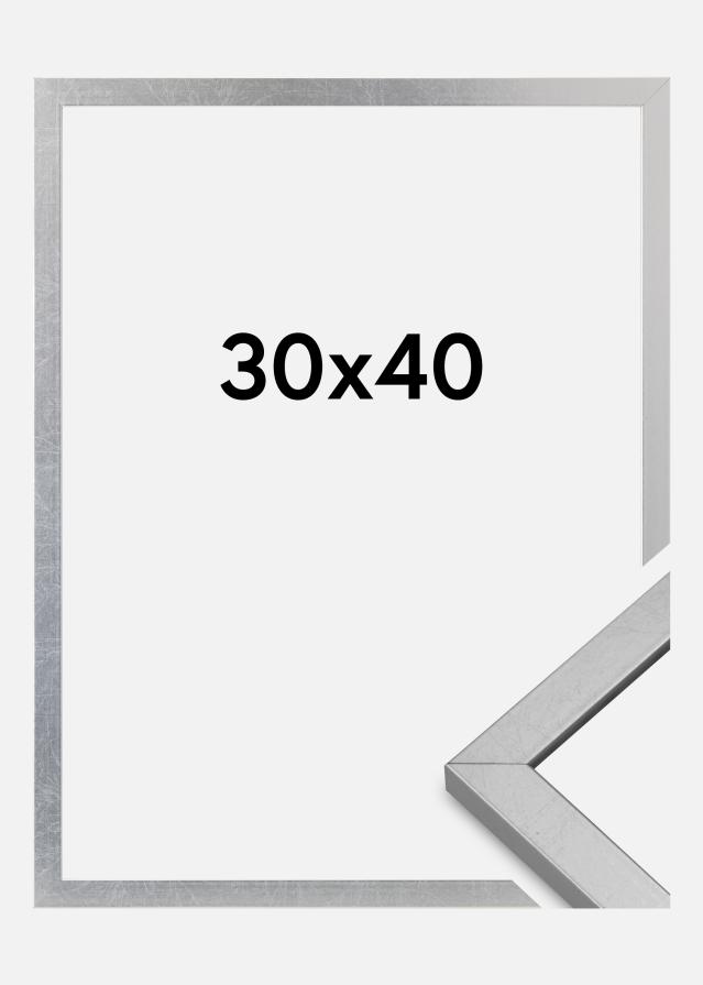 Rám Minerva Akrylové sklo Stríbrná 30x40 cm