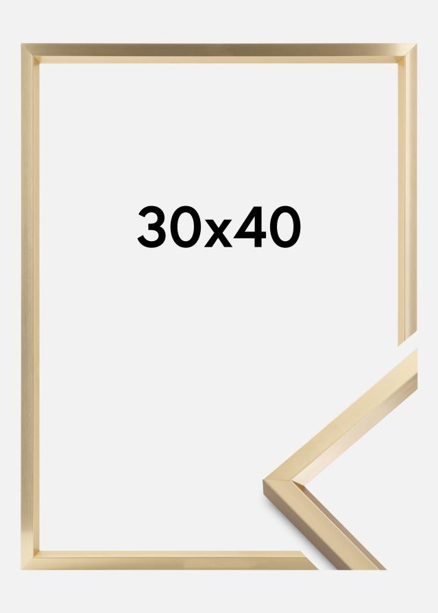 Rám Steel Style Zlatá 30x40 cm