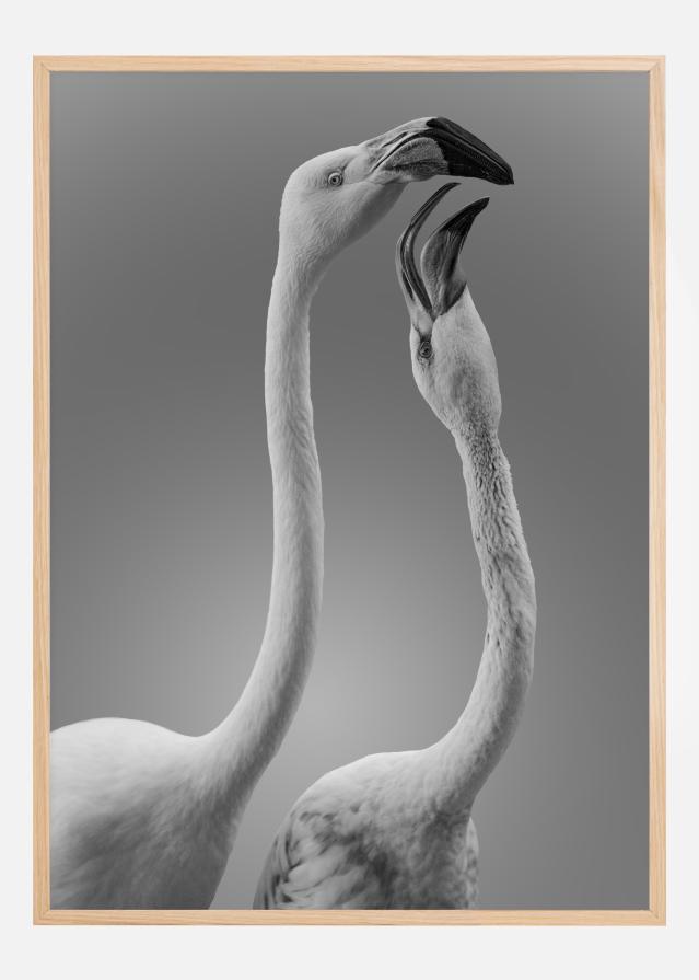 Kiss Of Life Plakát