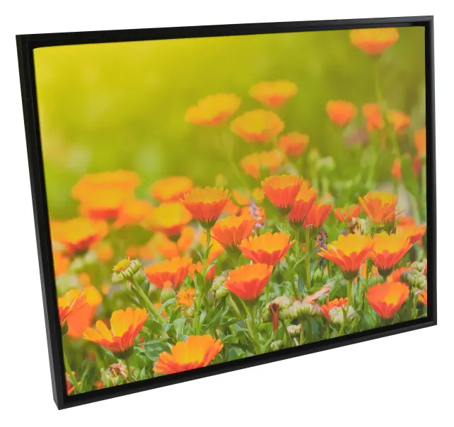 Rám Åsen Rám na plátno Cerná - Volitelná velikost