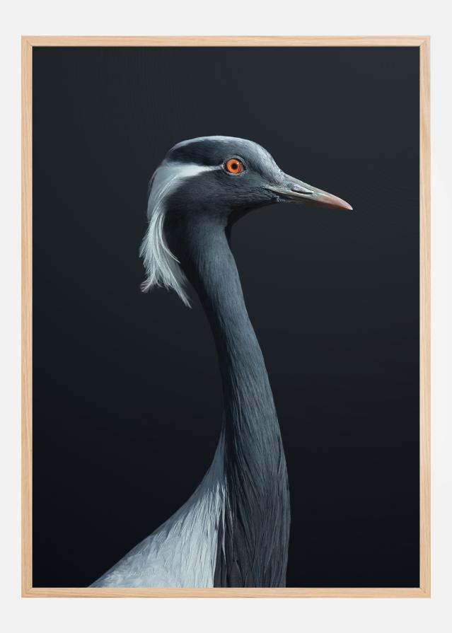 La Demoiselle Plakát