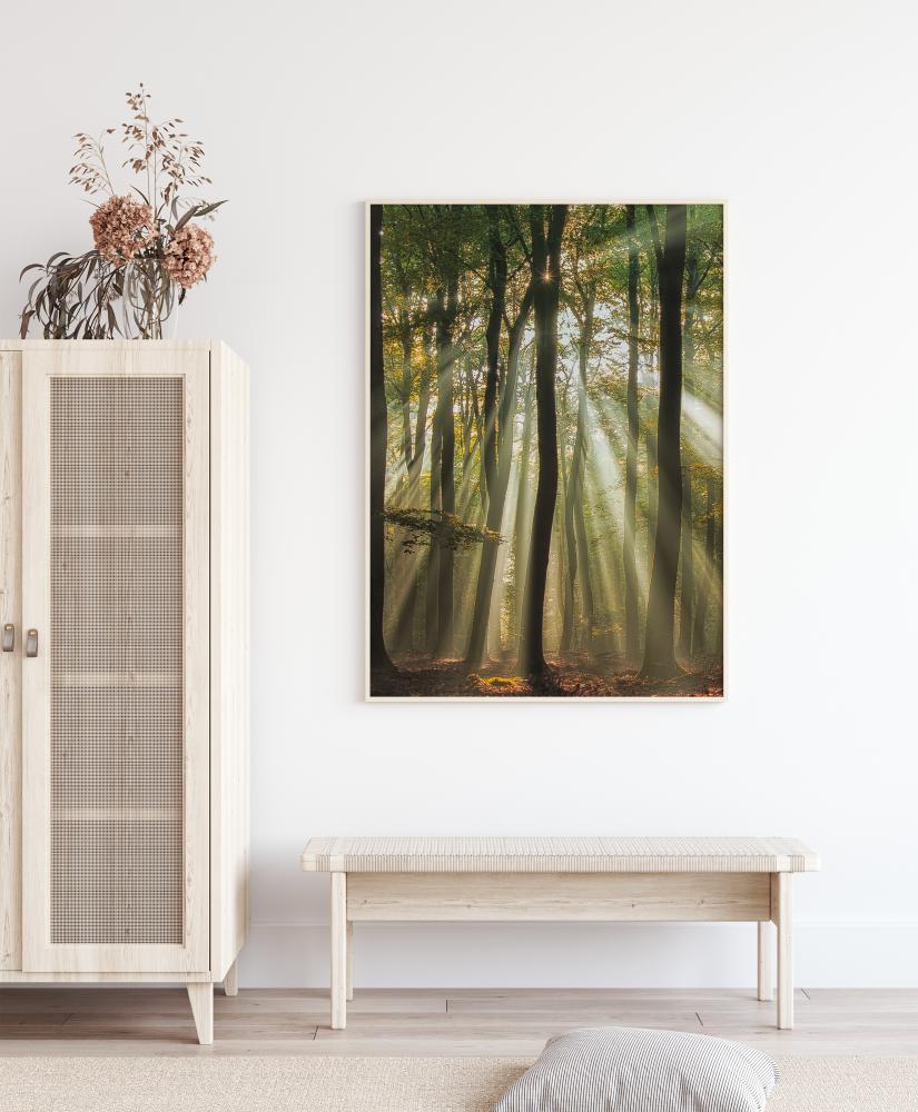 Sunny Start To The Day Plakát