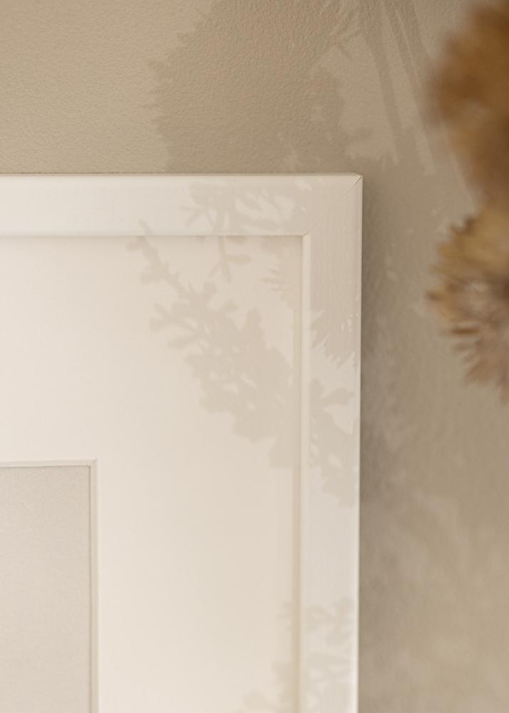 Rám Kaspar Bílá 50x70 cm - Pasparta Bílá 16x24 inches