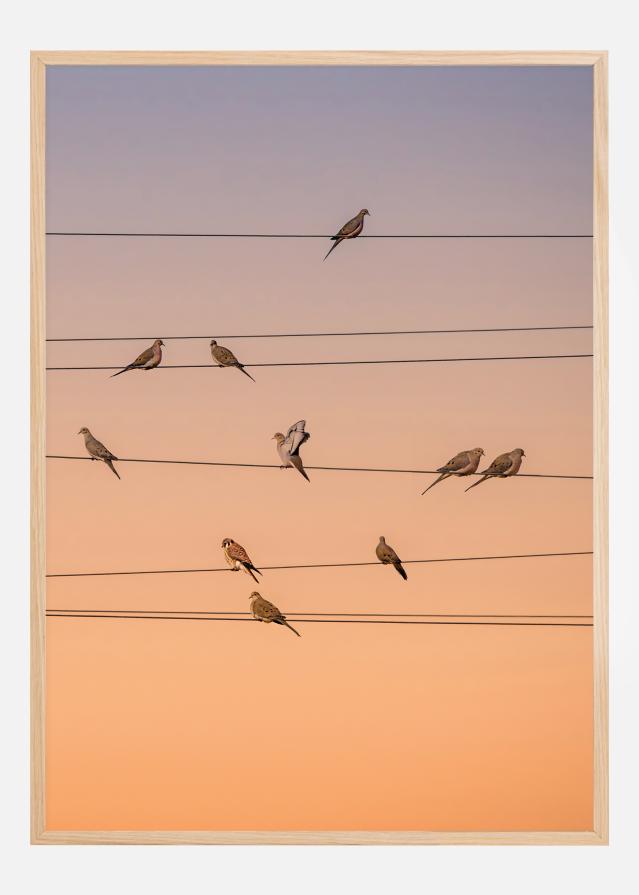 Music Of Light Plakát