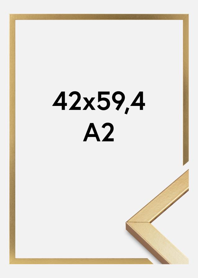 Rám Minerva Akrylové sklo Zlatá 42x59,4 cm (A2)