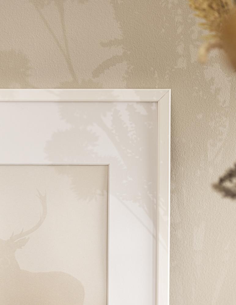 Rám Galant Akrylové sklo Bílá 40x60 cm