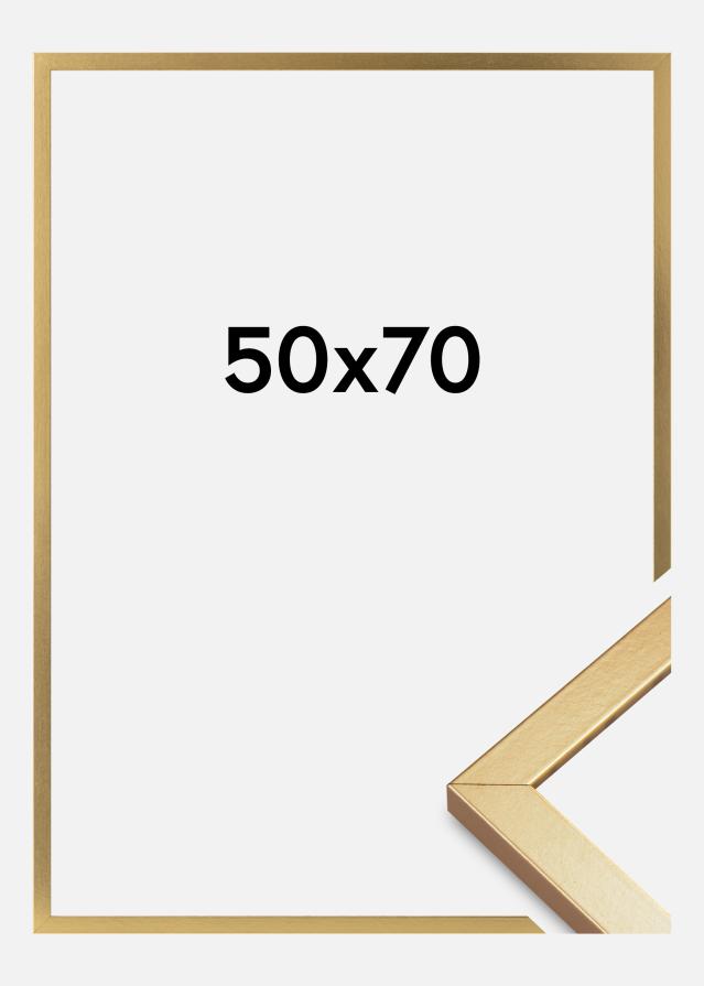 Rám Minerva Akrylové sklo Zlatá 50x70 cm