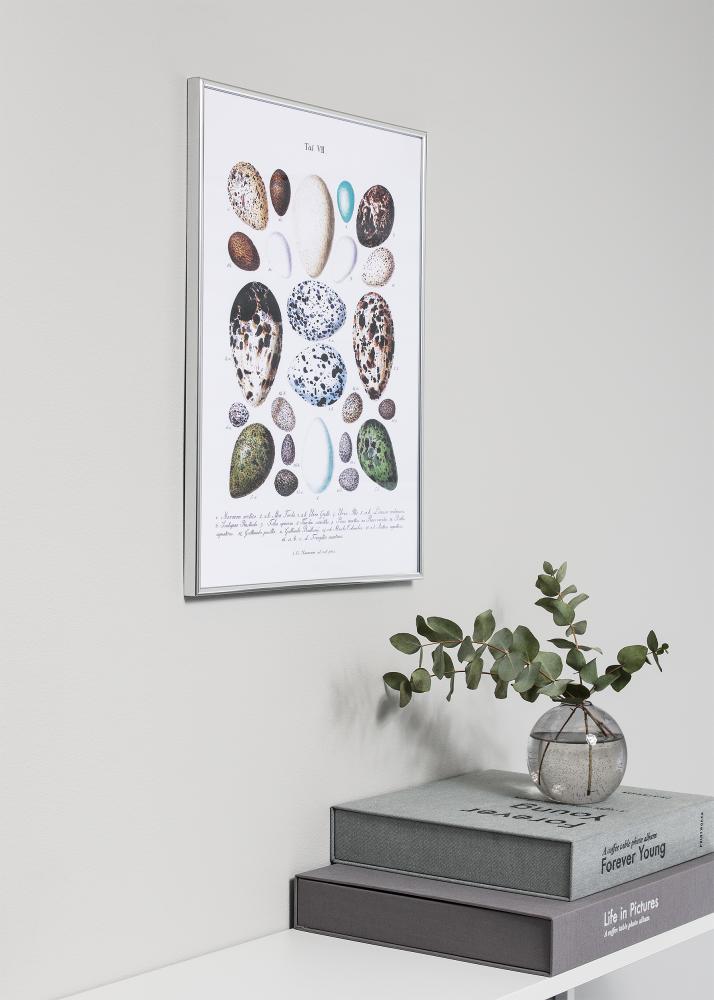 Rám Can-Can Stríbrná 40x60 cm