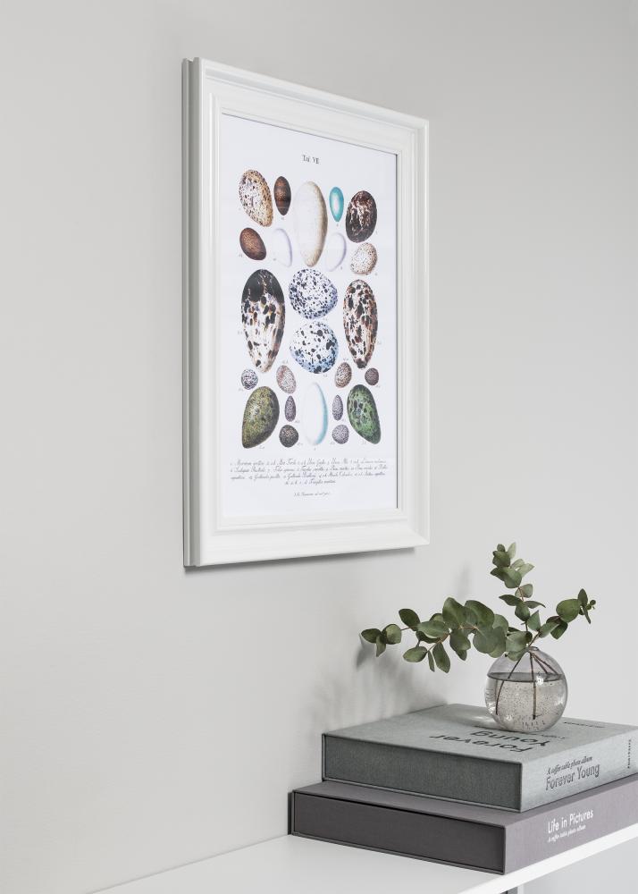 Rám Charleston Bílá 50x70 cm