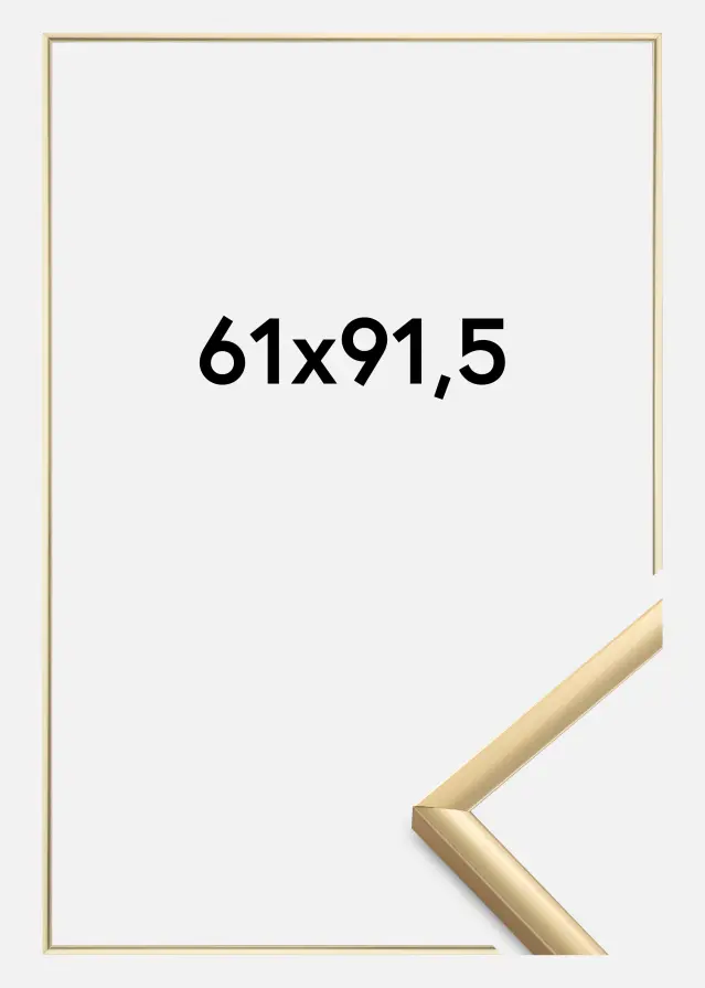 Rám New Lifestyle Akrylové sklo Zlatá 61x91,5 cm
