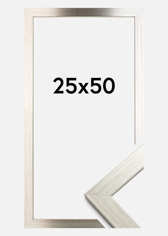 Rám Stríbrná Wood 25x50 cm