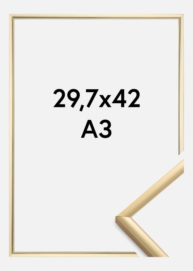 Rám New Lifestyle Zlatá 29,7x42 cm (A3)