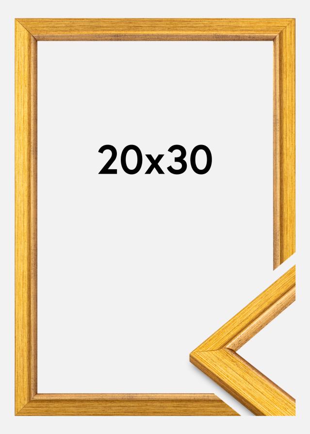 Rám Marisa Akrylglas Zlato 20x30 cm
